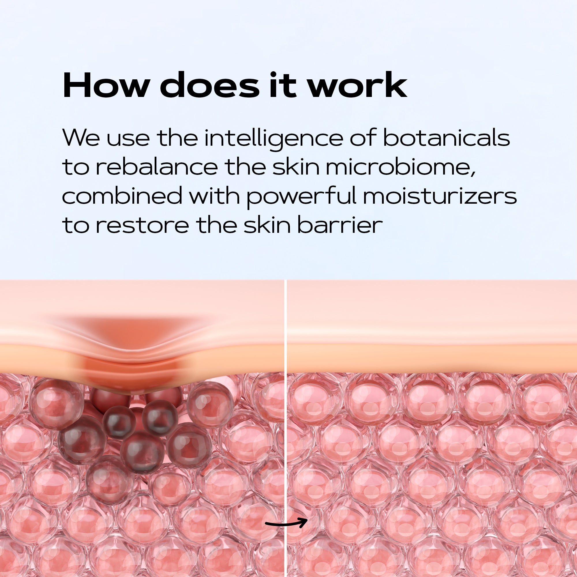 Eczema Therapy Cream